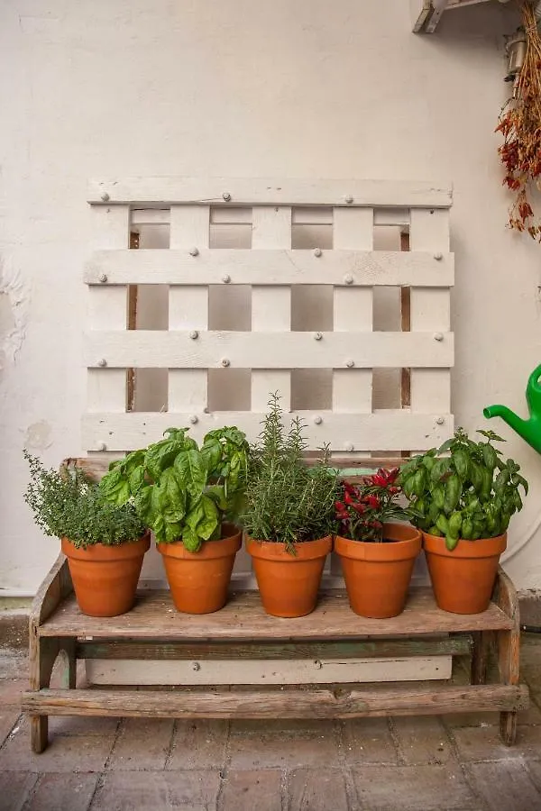 נאפולי Borgo Vergini Garden B&B 2*,  איטליה